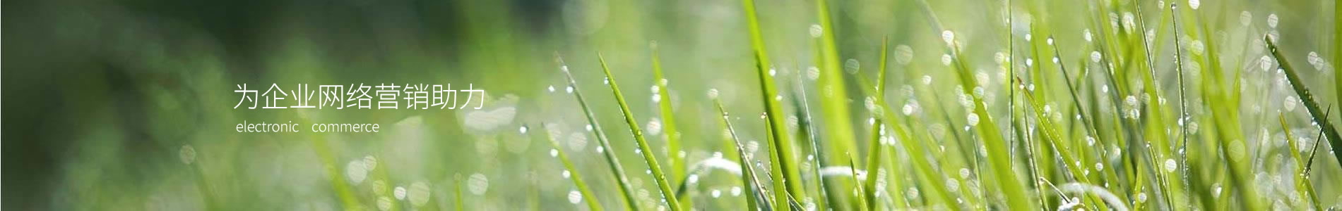 ᱴƼ޹˾